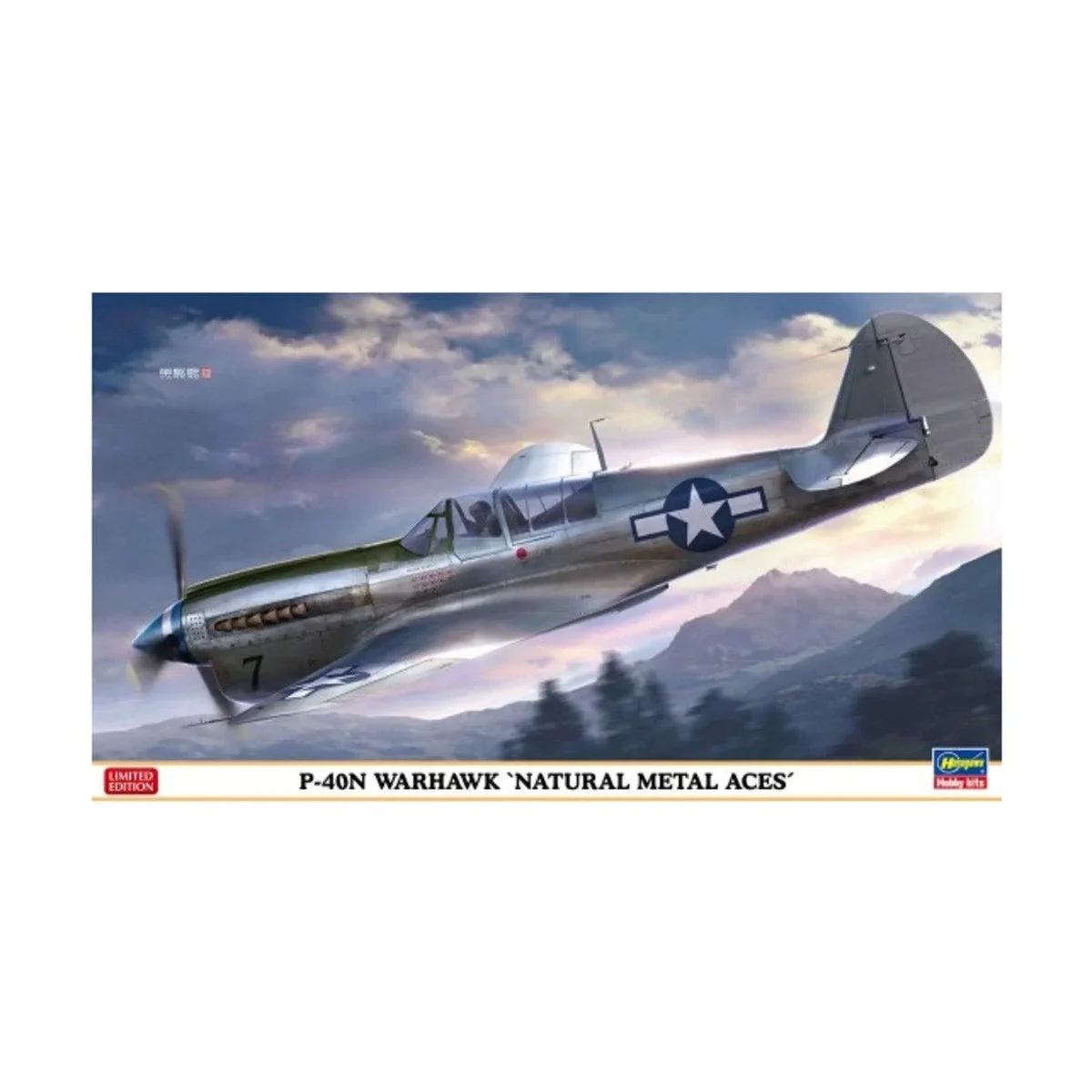 1/48 Hasegawa P-40N Warhawk Natural Metal Aces 7516