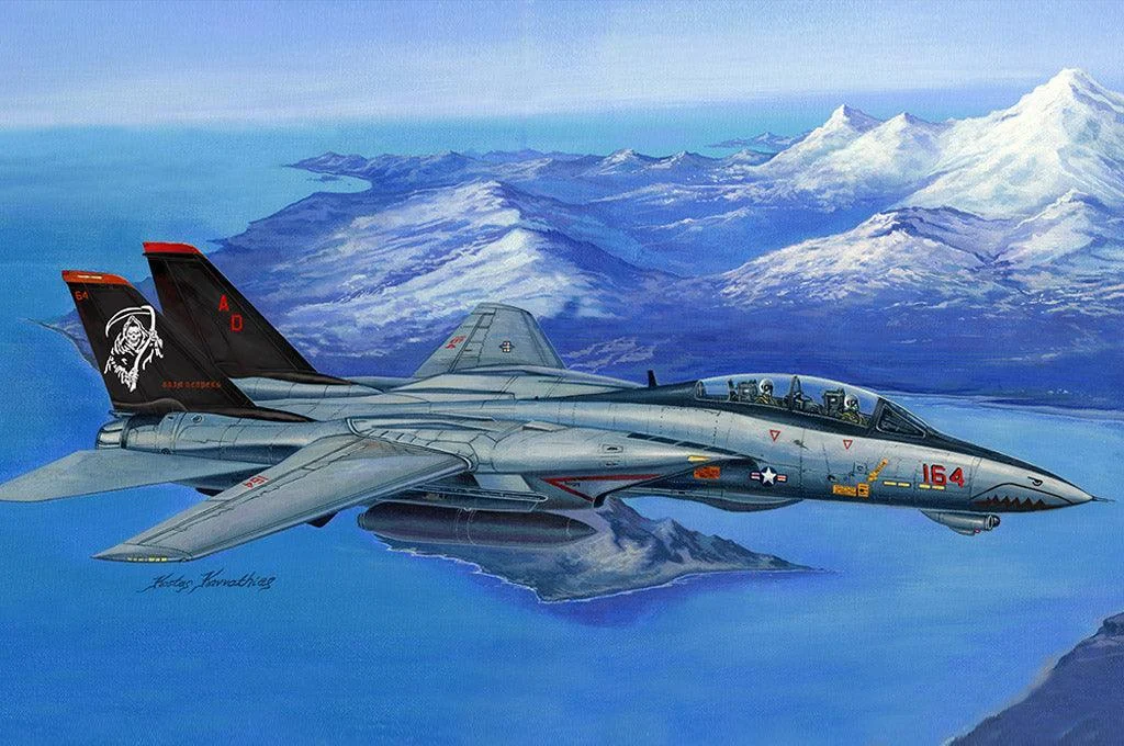 1/48 Hobby Boss F-14D Super Tomcat 80368