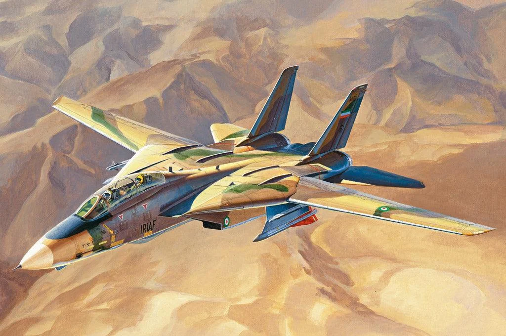 1/48 Hobby Boss “Persian Cat” F-14A Tomcat - IRIAF 81771