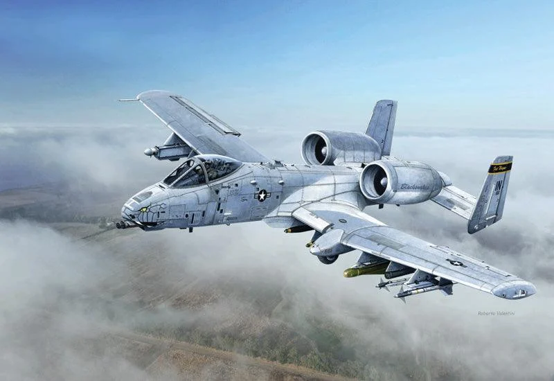 1/48 Italeri A - 10C ''Blacksnakes'' 2725