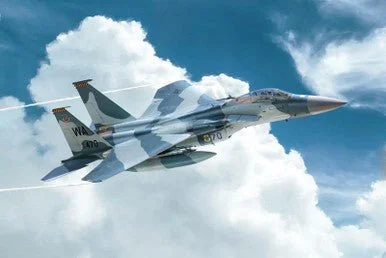 1/72 F15C Eagle Aircraft - Italeri