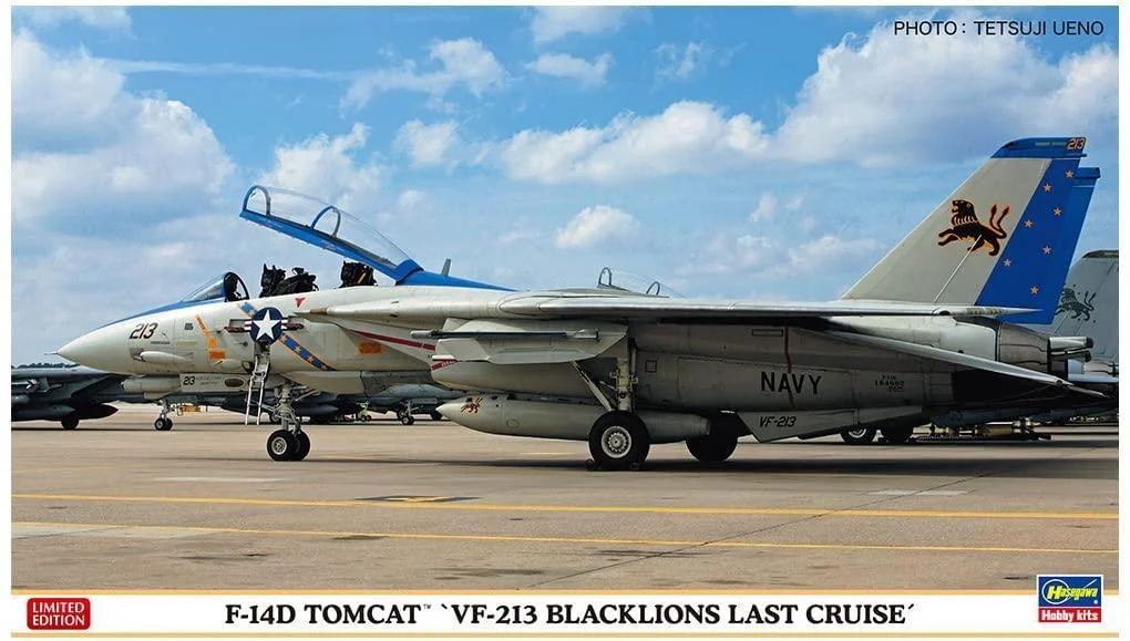 1/72 Hasegawa F-14D Tomcat VF-213 Blacklions 2406