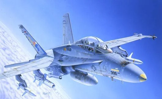1/72 Italeri F/A 18 Wild Weasel C/D 016