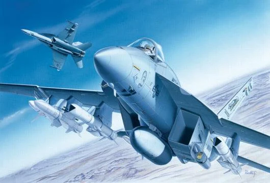 1/72 Italeri F/A-18E Super Hornet 083