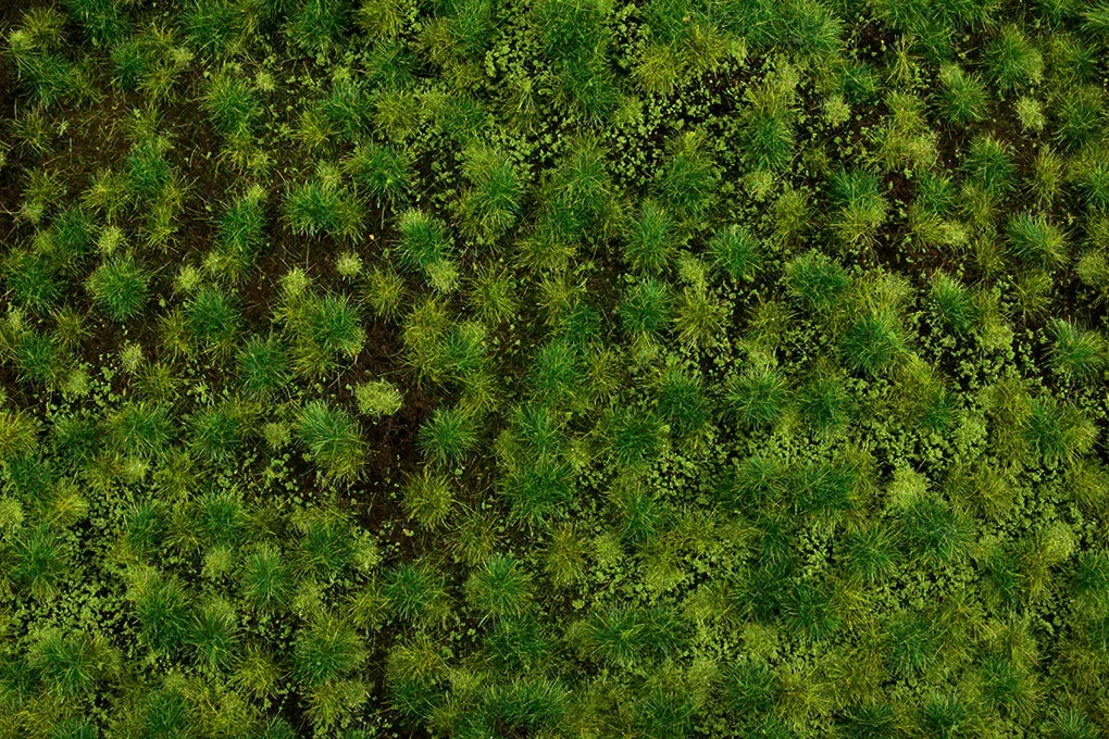 Bachmann Medium Green Tufted Grass Mat 32922 - Bachmann Trains