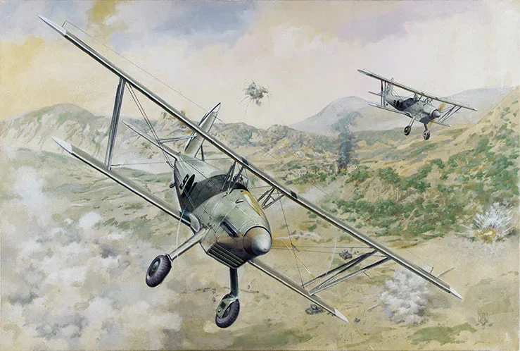 1/48 Roden Arado Ar 68E - 427