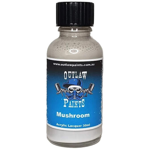 Outlaw Paints Mushroom