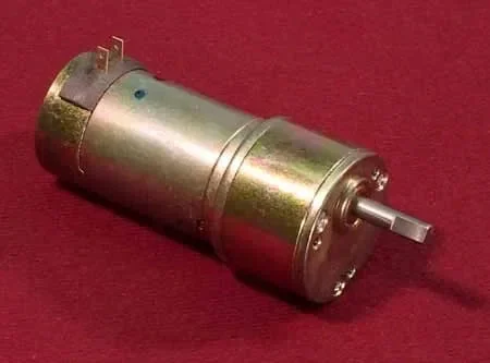 Dumas Gear Head Paddle Wheel Motor - 2029