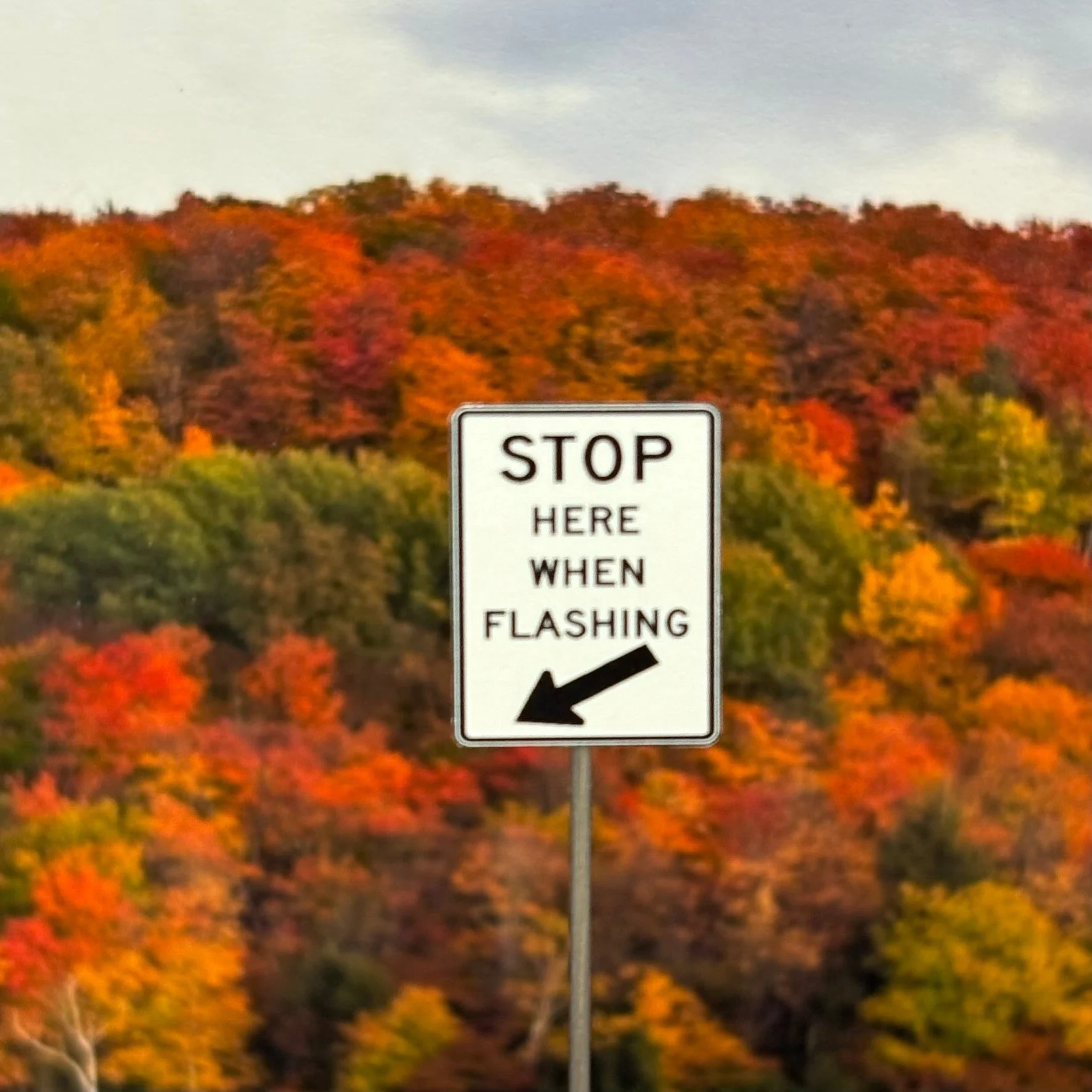 O Scale - Stop Here When Flashing - 2 Pack