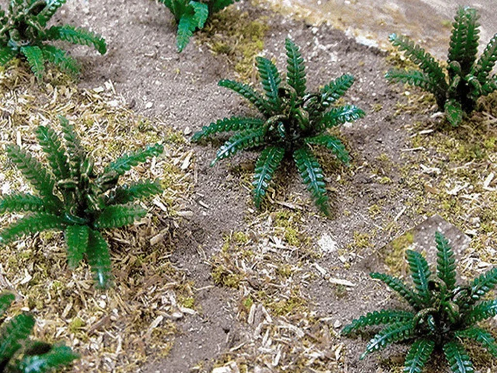 HO Scale JTT - Ferns 5/8" - 95533