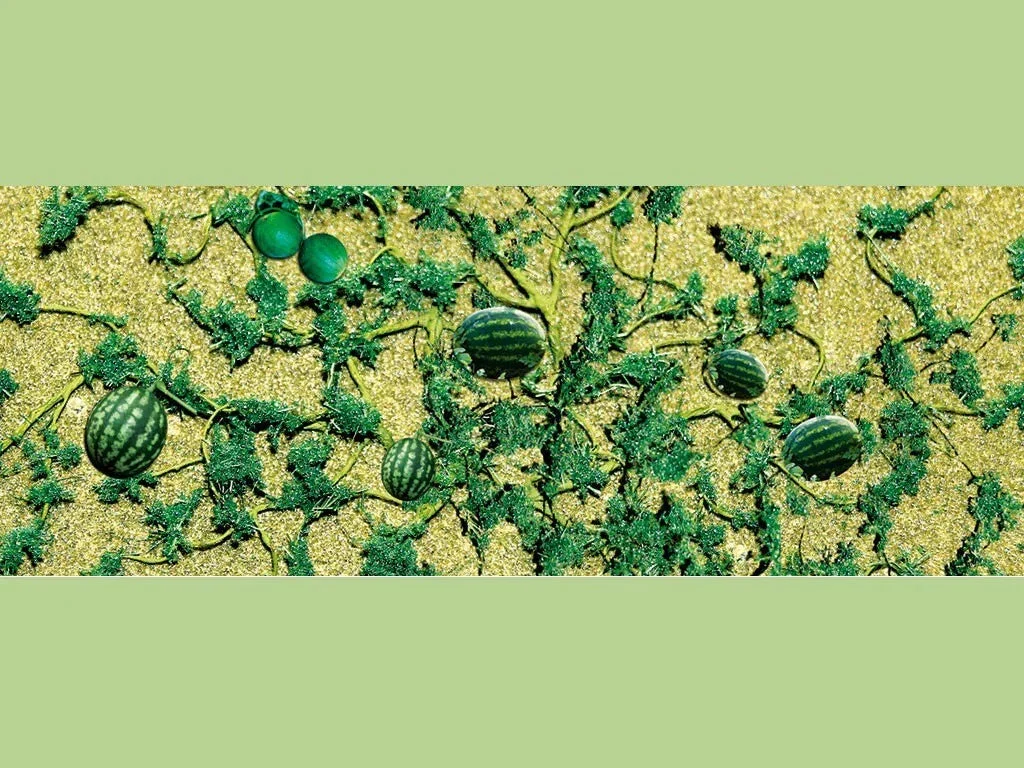 O Scale JTT - Watermelon Patch 2-3/4" 4/pk - 95576