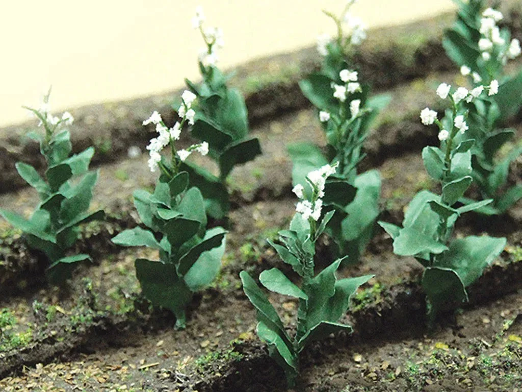 O Scale JTT - Tobacco Plants 1-1/2" 10/pk - 95587