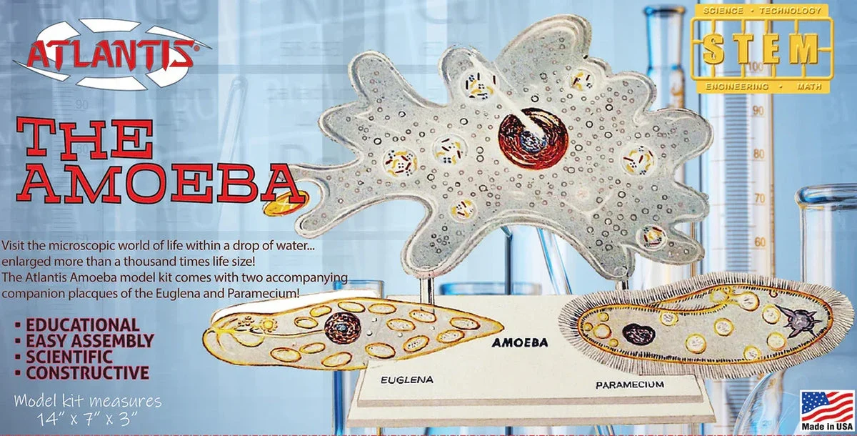 Atlantis Models Amoeba Single Cell 3800