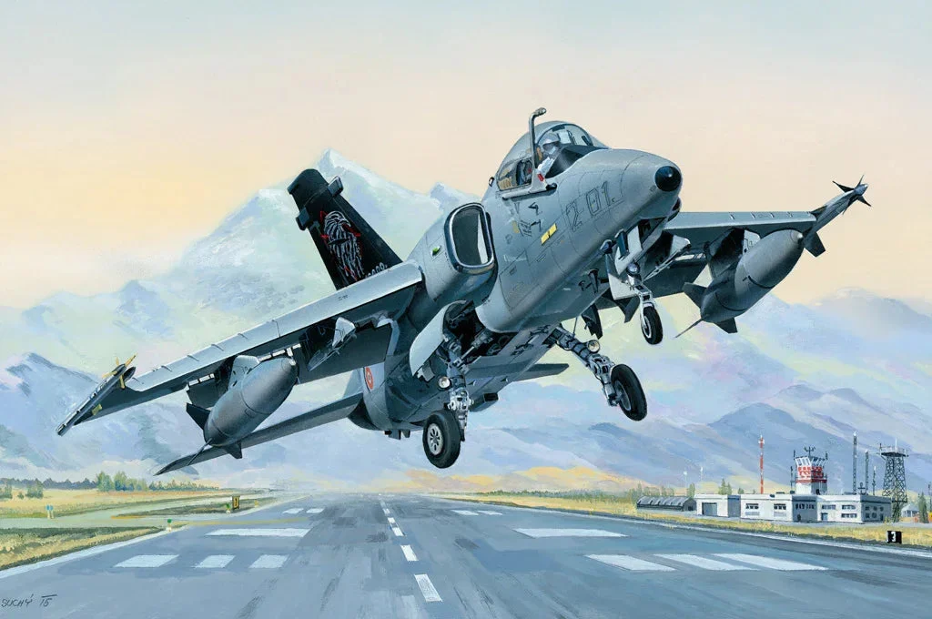 1/48 Hobby Boss AMX Ground Attack Aircraft 81741
