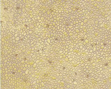 N Plastruct Random Polished Stone Sheet (PS-76 / 2 Pack) 91584