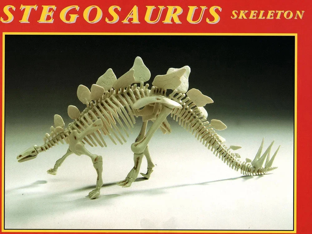 1/25 Glencoe Stegosaurus Skeleton 07907