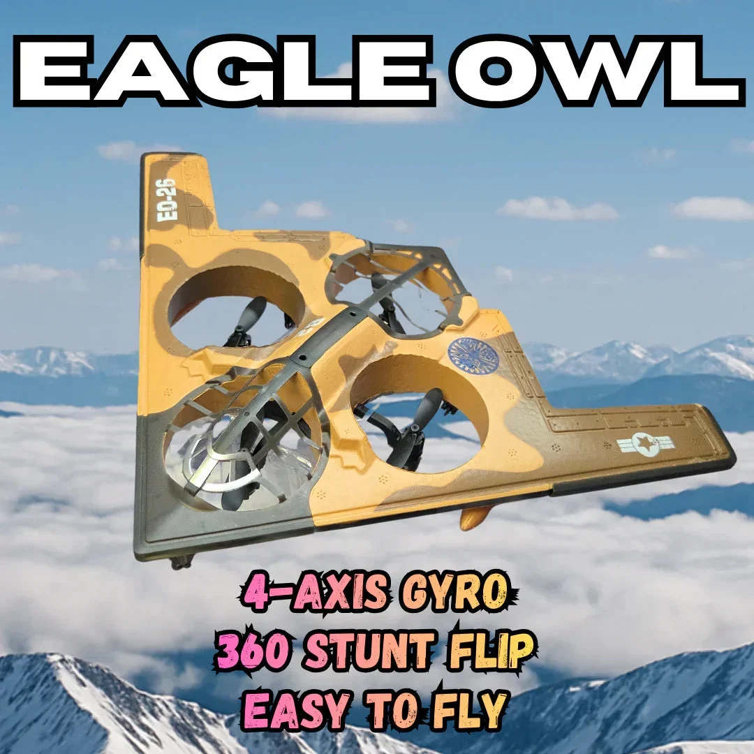 IMEX Eagle Owl EO-26 B2 Bomber RC Airplane 1312