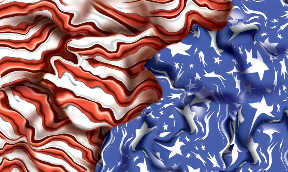 PineCar Body Skin - Freedom Flag 3980