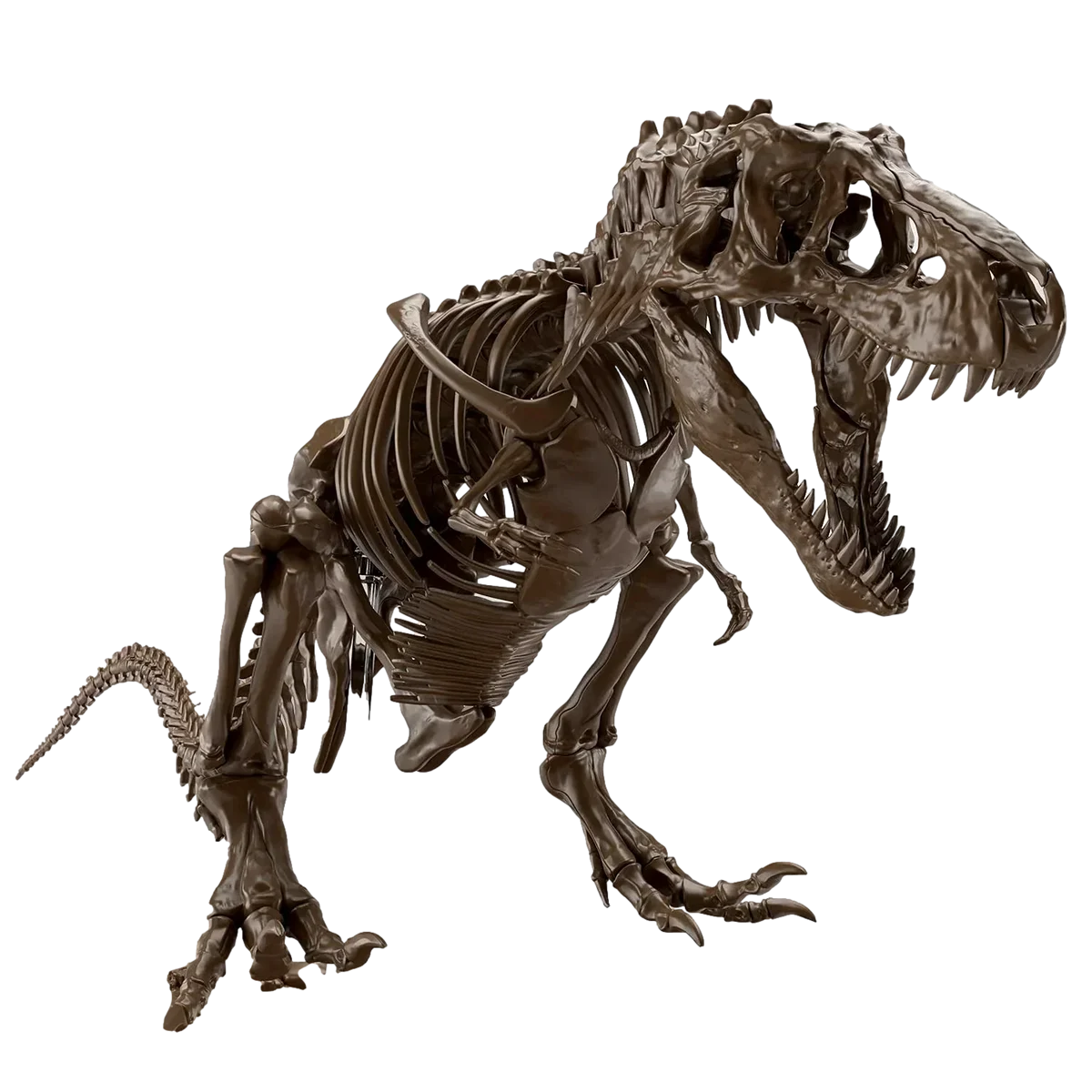 1/32 Bandai Imaginary Skeleton Tyrannosaurus 2569327 - Bandai Namco
