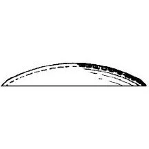 Plastruct 2" Clear Acrylic Dished Dome (2 per pack)