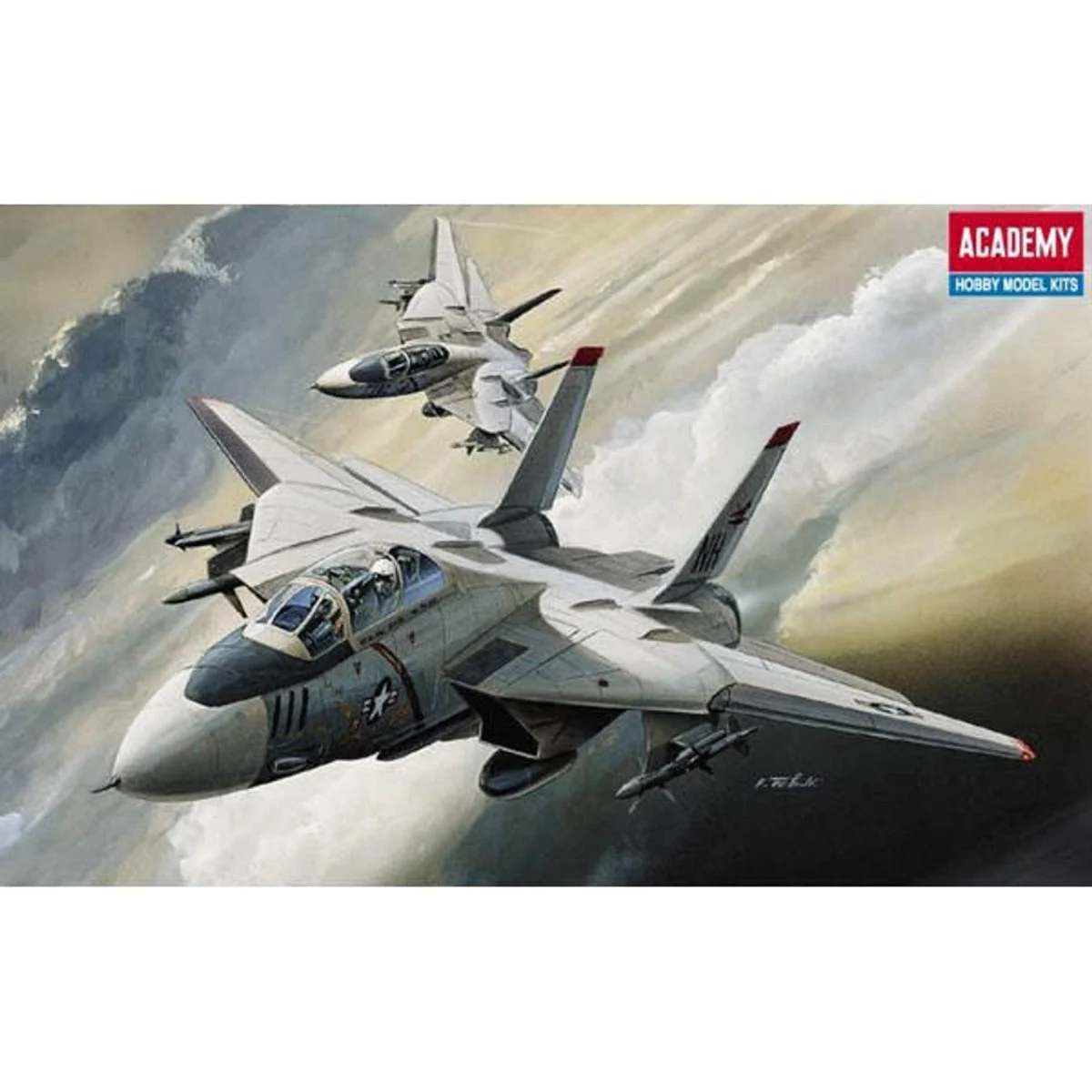 Academy 1/144 Academy F-14 Tomcat