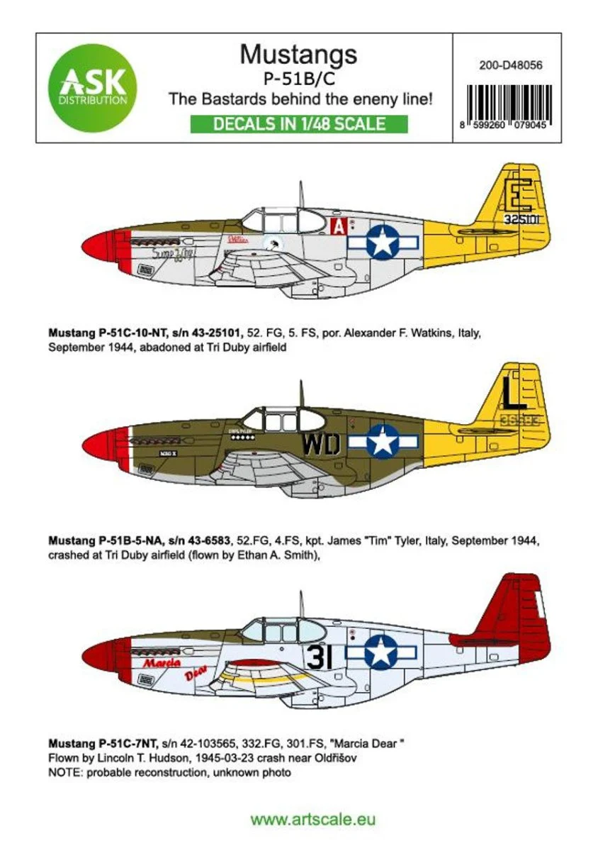 Art Scale 1/48 Art Scale P-51B Mustang - The Bastards behind the enemy lines!