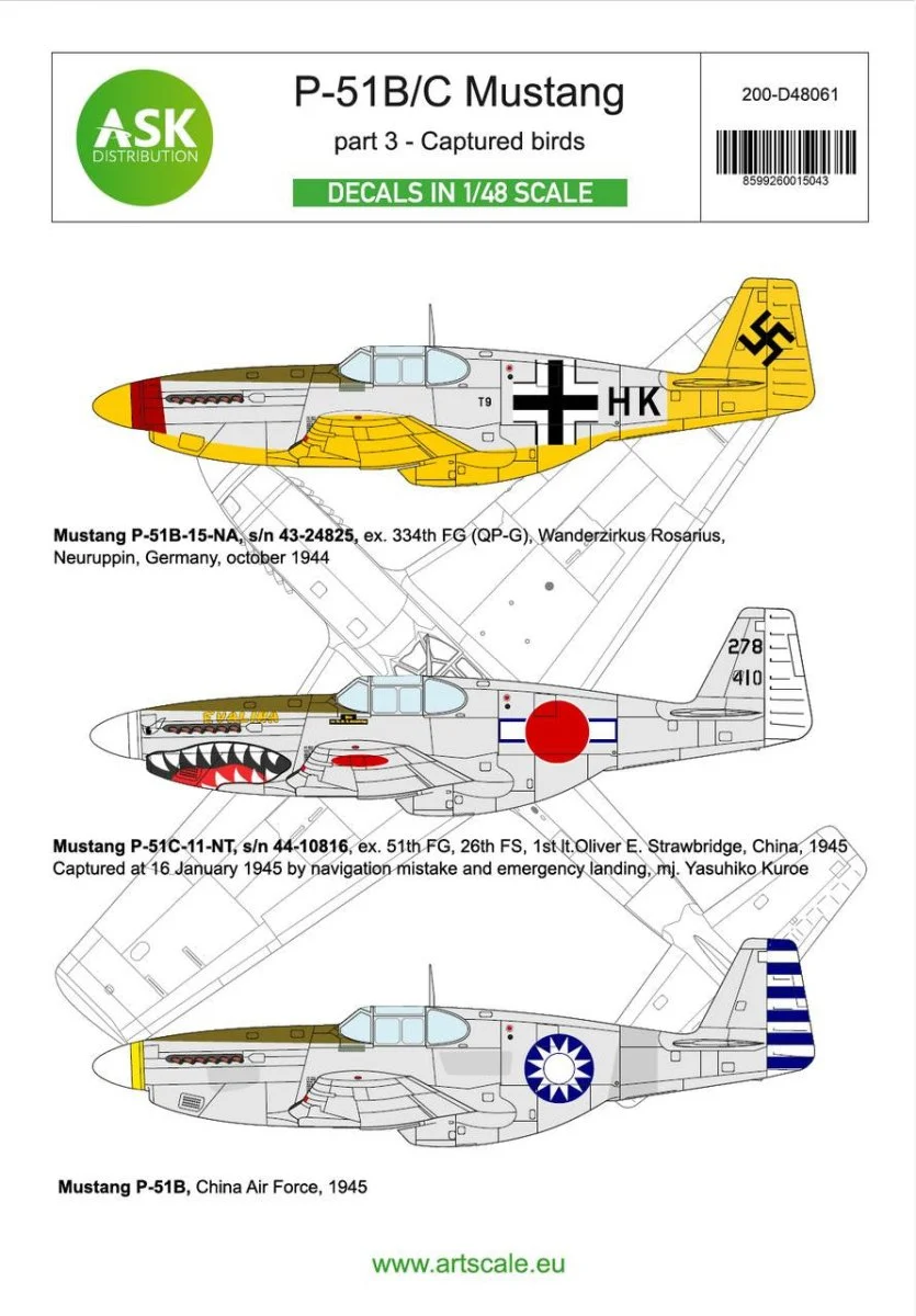Art Scale 1/48 Art Scale P-51B/C Mustang part 3 - Captured birds