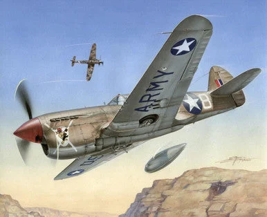 1/72 Special Hobby P-40 F Warhawk Short Tails over Africa Plastic Model Kit