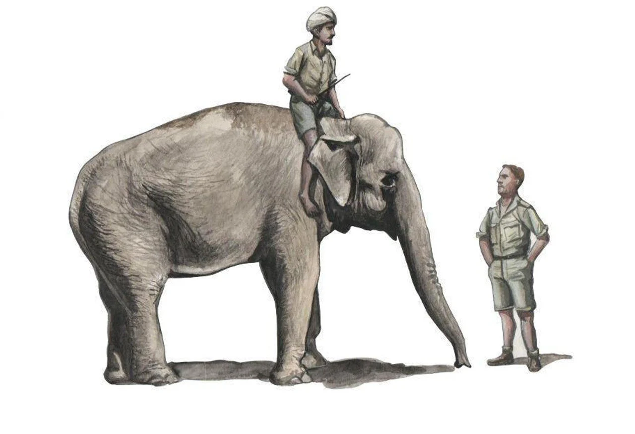 CMK 1/48 WWII RAF Mechanic in India+Elephant with Mahout (2 fig. + elephant) Resin Figure Model Kit