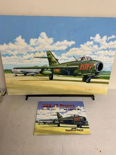 Don Greer Painting - MiG 17 Fresco Walk Around 2007