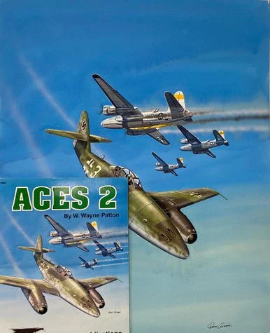 Don Greer Painting - Squadron Signal #6084, Aces 2. 2001