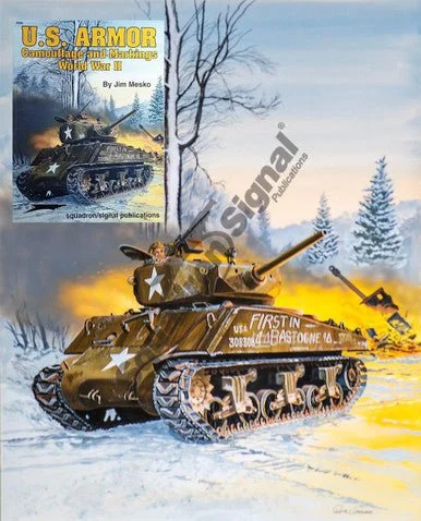 Don Greer Painting - US Camo & Markings in WWII 2005
