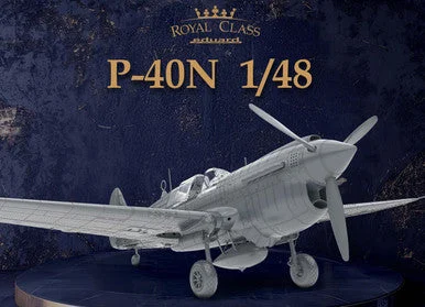 1/48 Eduard P-40N Warhawk Royal Class Plastic Model Kit