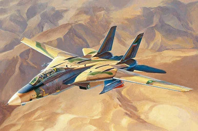 1/48 Hobby Boss Persian Cat F-14A TomCat - IRIAF
