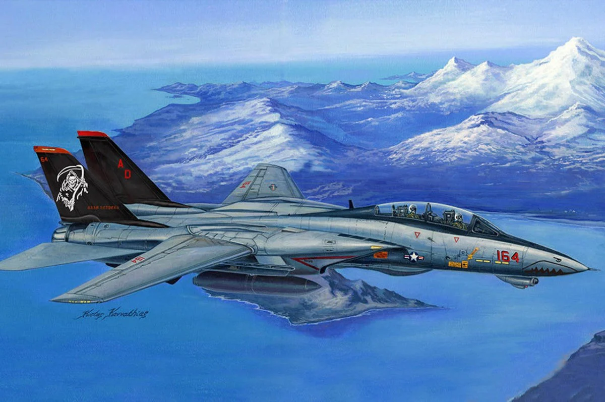 Hobby Boss 1/48 Hobby Boss F-14D Super Tomcat