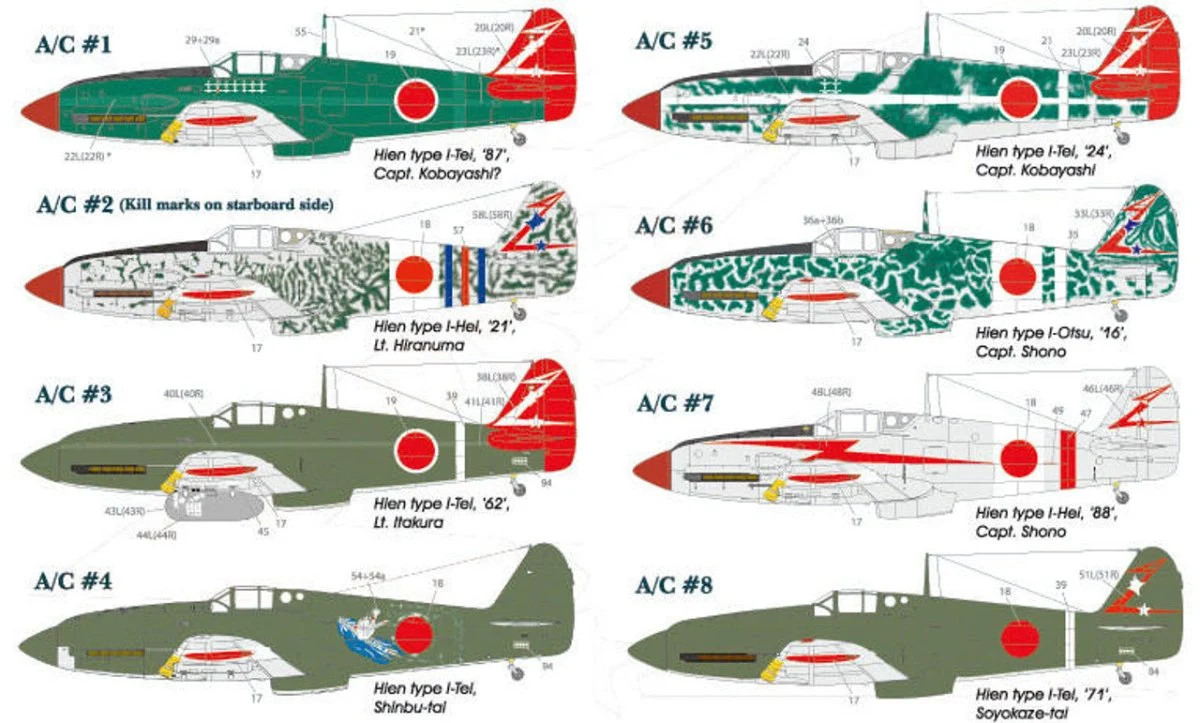 Lifelike Decals 1/48 Lifelike Decals 244th Sentai p-3