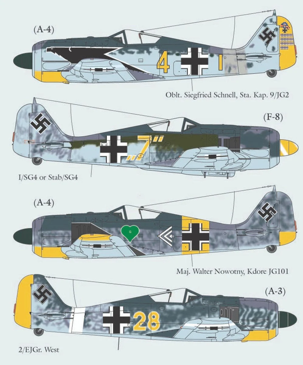 Lifelike Decals 1/48 Lifelike Decals Fw 190 p-2