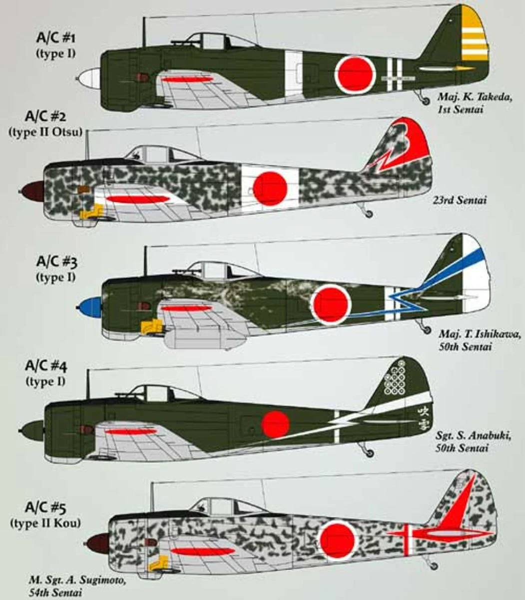 Lifelike Decals 1/48 Lifelike Decals Hayabusa P-1