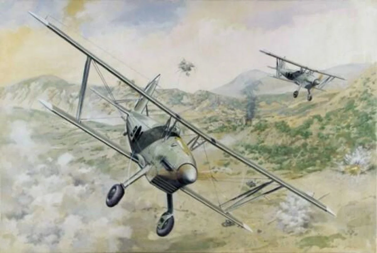 Roden 1/48 Roden Arado Ar68E Aircraft