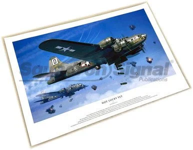 Squadron Signal Art - B-17F Sunny II Poster (12"x18")