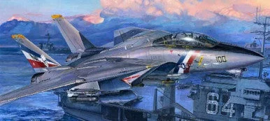 1/32 Trumpeter F14D Super Tomcat Fighter