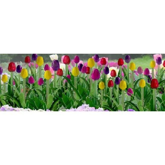 JTT HO Tulips 1/2'' Variety Color Assortment/48pk
