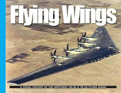 Visual History Flying Wings - David Doyle